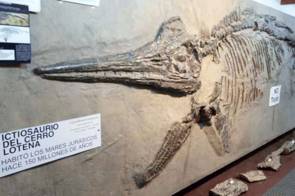 Bariloche - Museu paleontológico